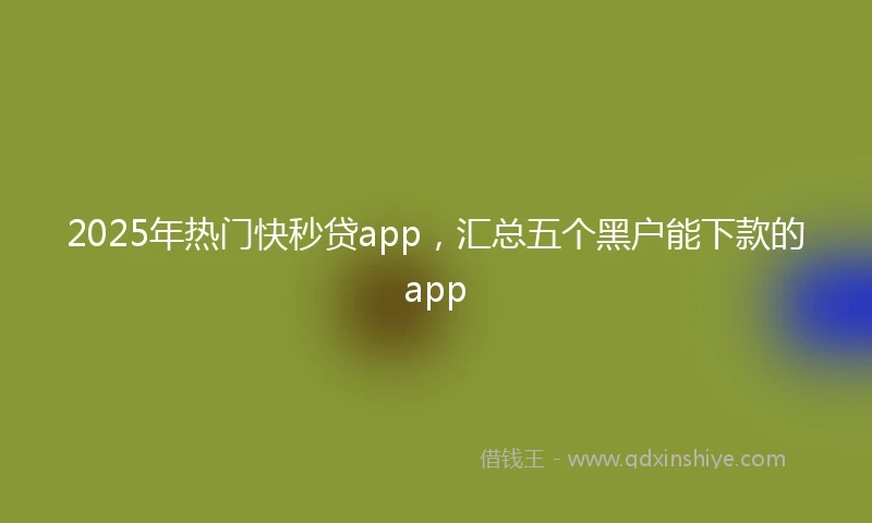 2025年热门快秒贷app，汇总五个黑户能下款的app