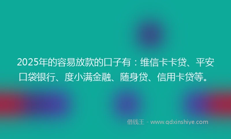 2025年的容易放款的口子有：维信卡卡贷、平安口袋银行、度小满金融、随身贷、信用卡贷等。
