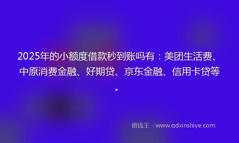 2025年的小额度借款秒到账吗有：美团生活费、中原消费金融、好期贷、京东金融、信用卡贷等。