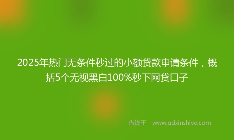 2025年热门无条件秒过的小额贷款申请条件，概括5个无视黑白100%秒下网贷口子