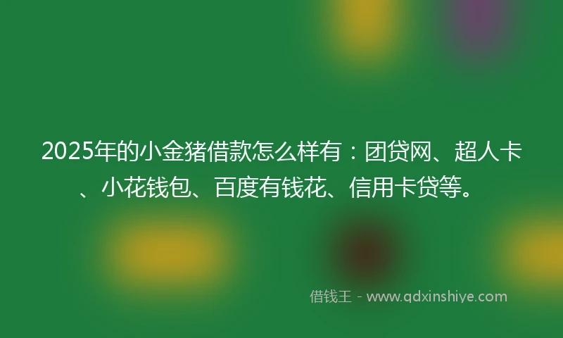 2025年的小金猪借款怎么样有:团贷网、超人卡、小花钱包、百度有钱花、信用卡贷等。