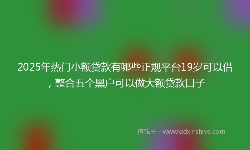 2025年热门小额贷款有哪些正规平台19岁可以借，整合五个黑户可以做大额贷款口子