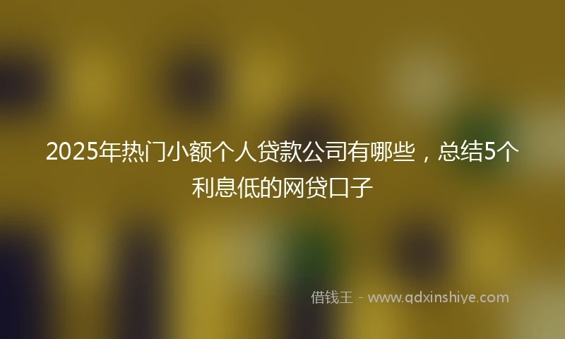 2025年热门小额个人贷款公司有哪些，总结5个利息低的网贷口子