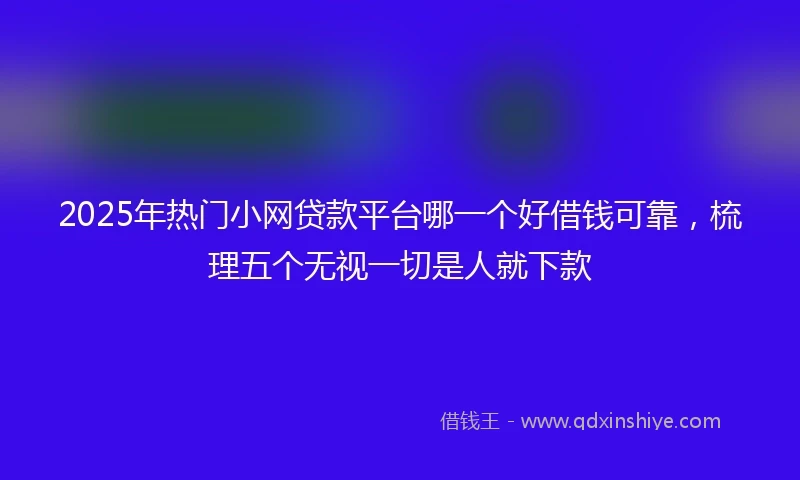 2025年热门小网贷款平台哪一个好借钱可靠，梳理五个无视一切是人就下款