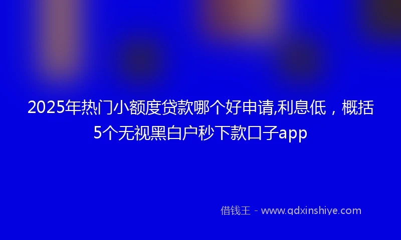 2025年热门小额度贷款哪个好申请,利息低，概括5个无视黑白户秒下款口子app