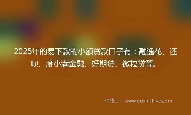 2025年的易下款的小额贷款口子有：融逸花、还呗、度小满金融、好期贷、微粒贷等。