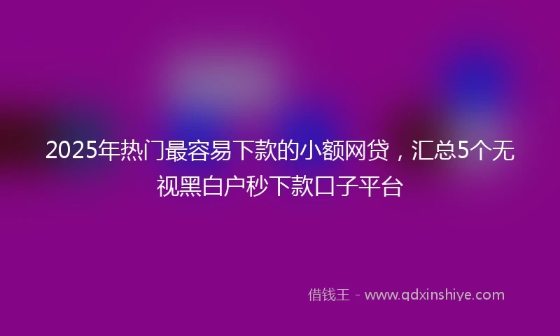 2025年热门最容易下款的小额网贷，汇总5个无视黑白户秒下款口子平台