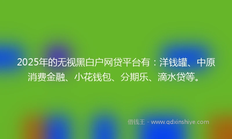 2025年的无视黑白户网贷平台有：洋钱罐、中原消费金融、小花钱包、分期乐、滴水贷等。
