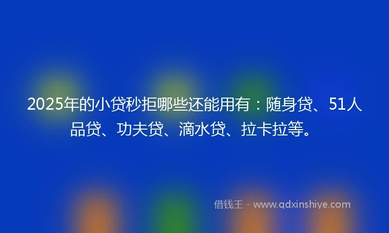 2025年的小贷秒拒哪些还能用有：随身贷、51人品贷、功夫贷、滴水贷、拉卡拉等。