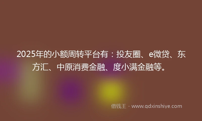 2025年的小额周转平台有：投友圈、e微贷、东方汇、中原消费金融、度小满金融等。