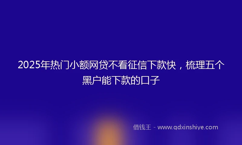 2025年热门小额网贷不看征信下款快，梳理五个黑户能下款的口子