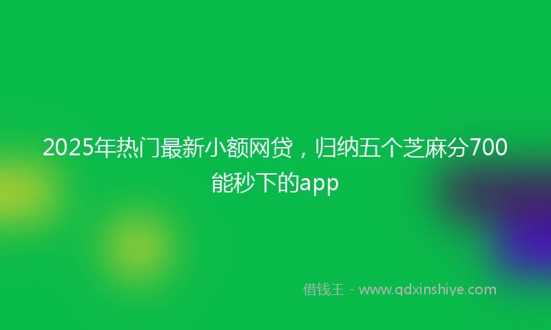 2025年热门最新小额网贷，归纳五个芝麻分700能秒下的app