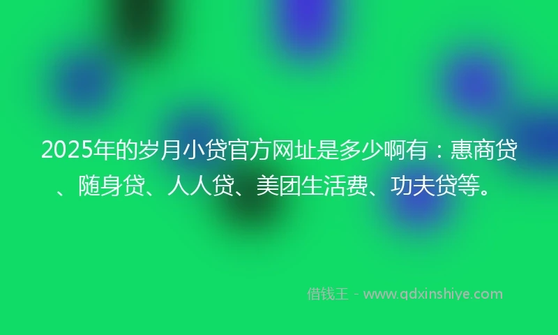 2025年的岁月小贷官方网址是多少啊有：惠商贷、随身贷、人人贷、美团生活费、功夫贷等。