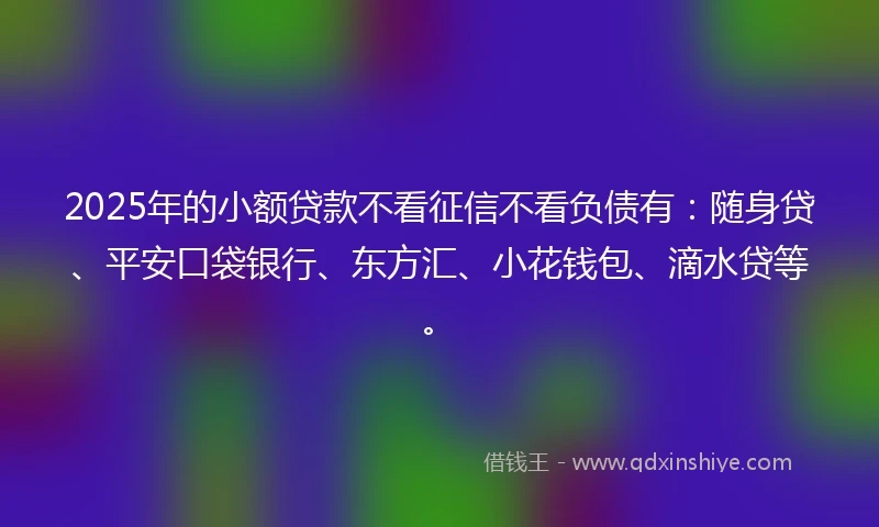 2025年的小额贷款不看征信不看负债有：随身贷、平安口袋银行、东方汇、小花钱包、滴水贷等。
