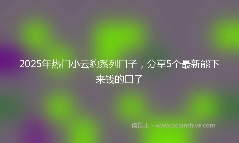 2025年热门小云豹系列口子，分享5个最新能下来钱的口子
