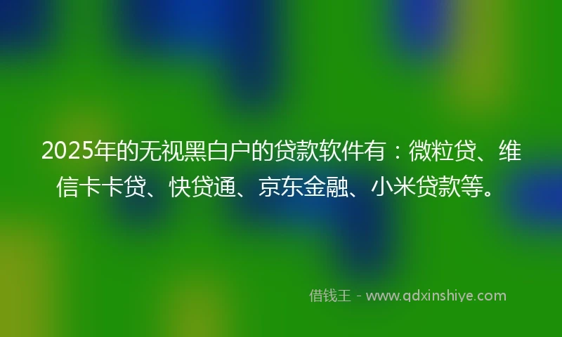 2025年的无视黑白户的贷款软件有：微粒贷、维信卡卡贷、快贷通、京东金融、小米贷款等。