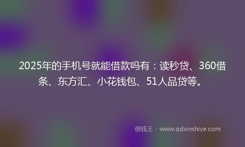 2025年的手机号就能借款吗有：读秒贷、360借条、东方汇、小花钱包、51人品贷等。