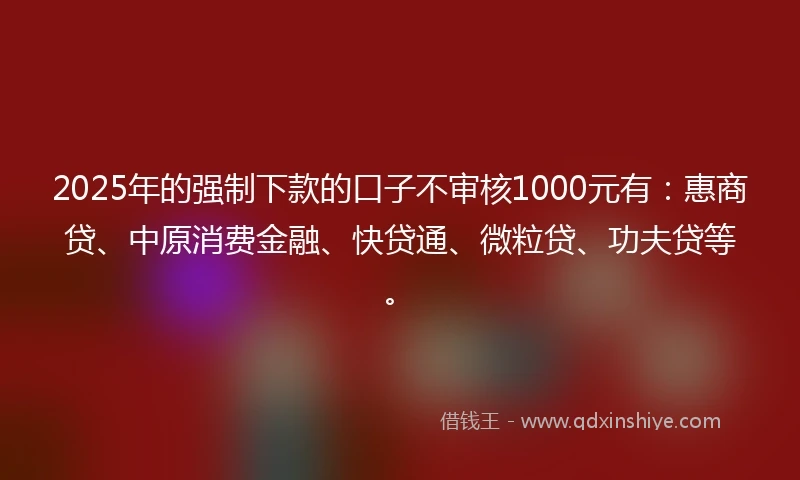 2025年的强制下款的口子不审核1000元有：惠商贷、中原消费金融、快贷通、微粒贷、功夫贷等。