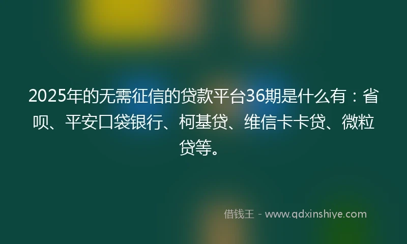 2025年的无需征信的贷款平台36期是什么有：省呗、平安口袋银行、柯基贷、维信卡卡贷、微粒贷等。