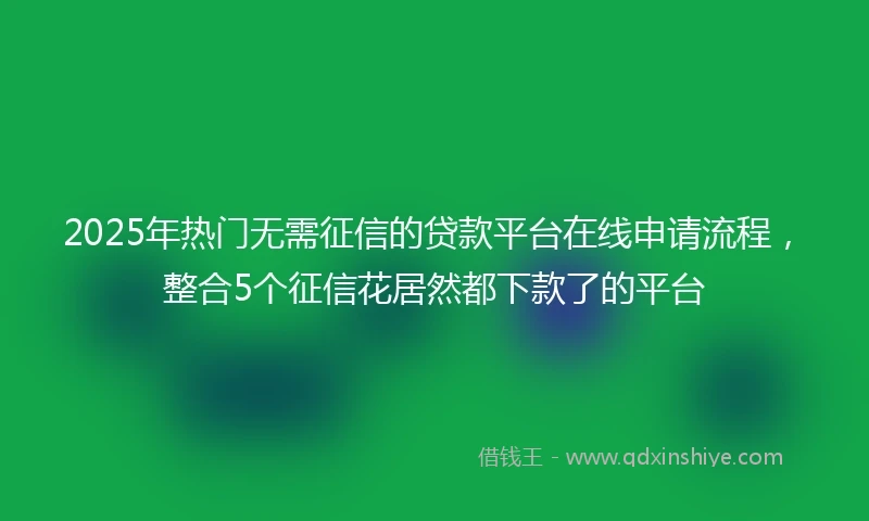 2025年热门无需征信的贷款平台在线申请流程，整合5个征信花居然都下款了的平台
