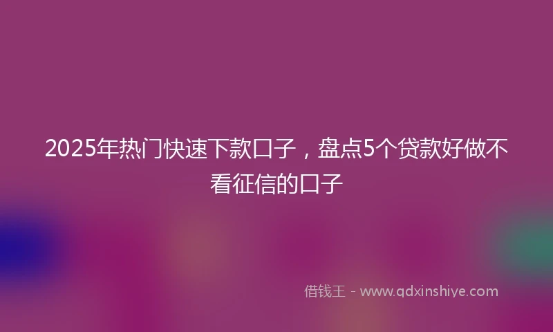 2025年热门快速下款口子，盘点5个贷款好做不看征信的口子