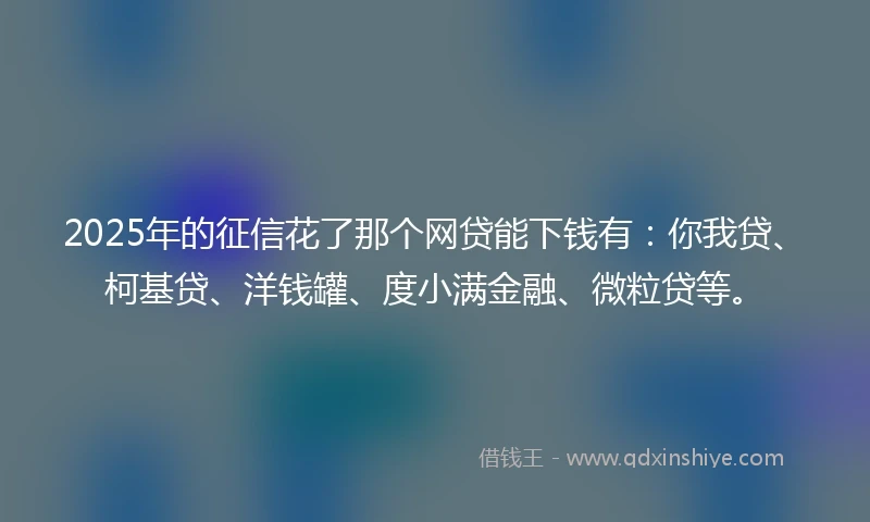 2025年的征信花了那个网贷能下钱有：你我贷、柯基贷、洋钱罐、度小满金融、微粒贷等。