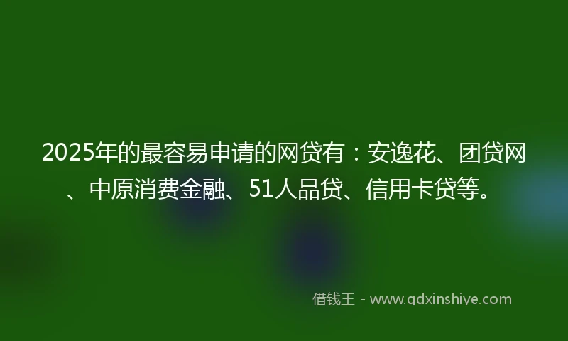 2025年的最容易申请的网贷有：安逸花、团贷网、中原消费金融、51人品贷、信用卡贷等。