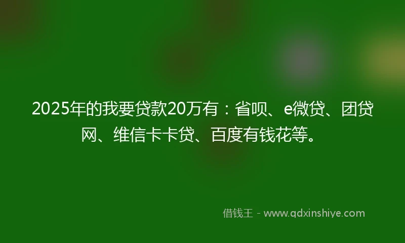 2025年的我要贷款20万有：省呗、e微贷、团贷网、维信卡卡贷、百度有钱花等。