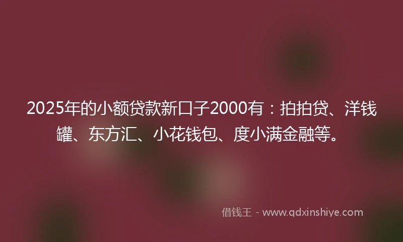 2025年的小额贷款新口子2000有：拍拍贷、洋钱罐、东方汇、小花钱包、度小满金融等。