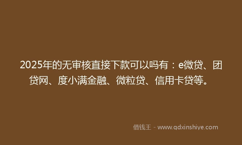 2025年的无审核直接下款可以吗有：e微贷、团贷网、度小满金融、微粒贷、信用卡贷等。
