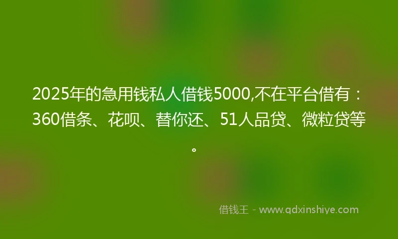 2025年的急用钱私人借钱5000,不在平台借有：360借条、花呗、替你还、51人品贷、微粒贷等。