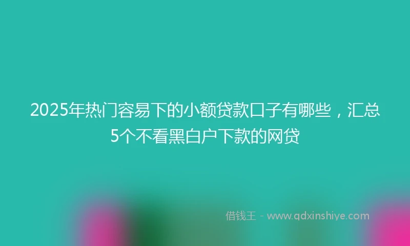 2025年热门容易下的小额贷款口子有哪些,汇总5个不看黑白户下款的网贷
