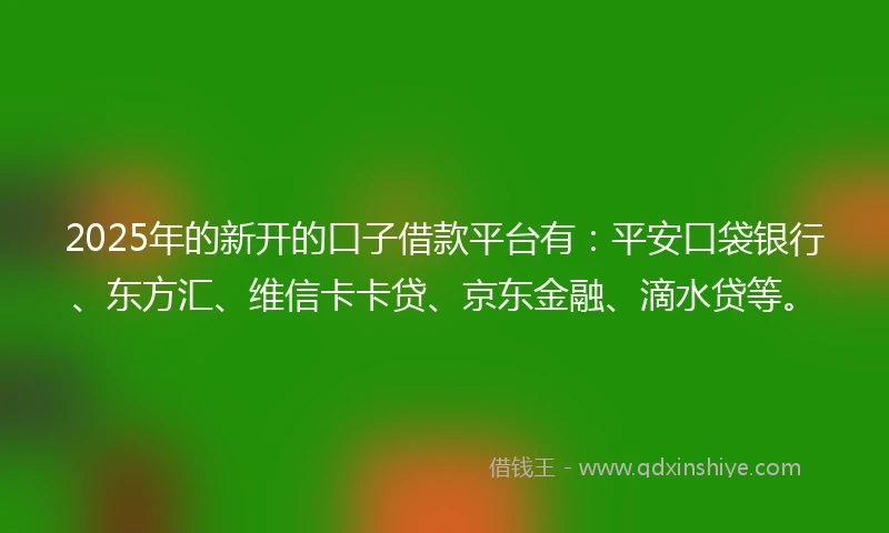 2025年的新开的口子借款平台有:平安口袋银行、东方汇、维信卡卡贷、京东金融、滴水贷等。