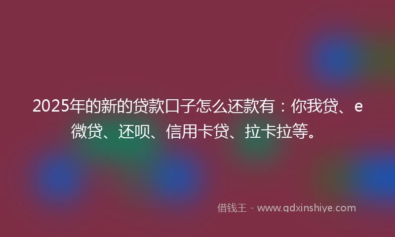 2025年的新的贷款口子怎么还款有：你我贷、e微贷、还呗、信用卡贷、拉卡拉等。