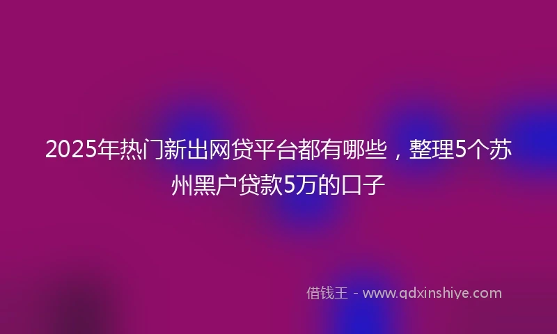 2025年热门新出网贷平台都有哪些，整理5个苏州黑户贷款5万的口子