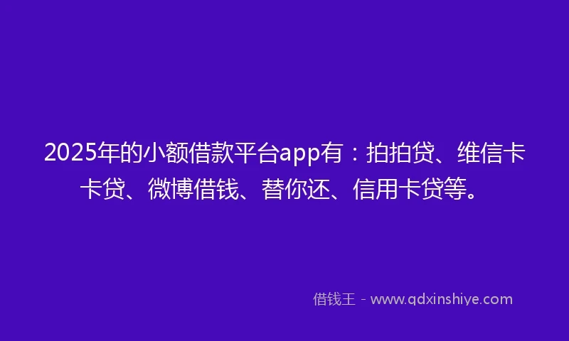 2025年的小额借款平台app有：拍拍贷、维信卡卡贷、微博借钱、替你还、信用卡贷等。