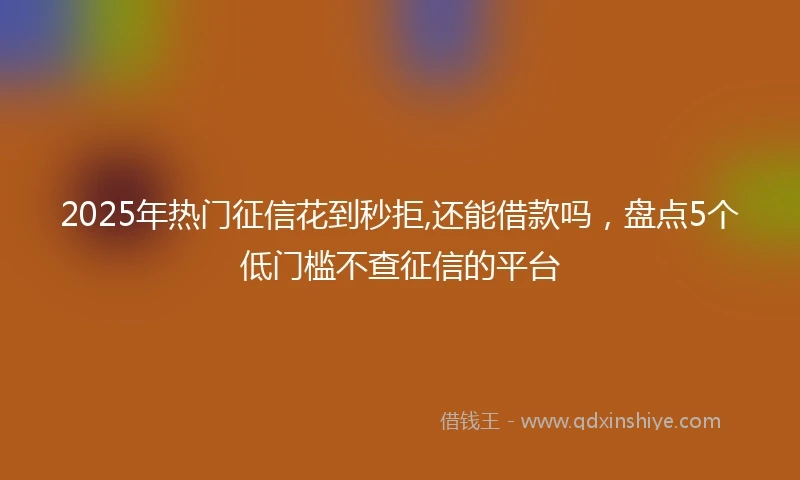 2025年热门征信花到秒拒,还能借款吗，盘点5个低门槛不查征信的平台