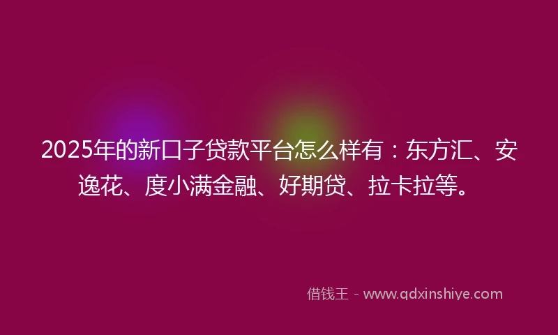 2025年的新口子贷款平台怎么样有：东方汇、安逸花、度小满金融、好期贷、拉卡拉等。