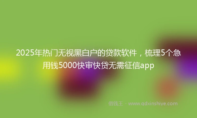 2025年热门无视黑白户的贷款软件，梳理5个急用钱5000快审快贷无需征信app