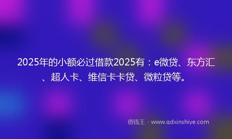 2025年的小额必过借款2025有：e微贷、东方汇、超人卡、维信卡卡贷、微粒贷等。