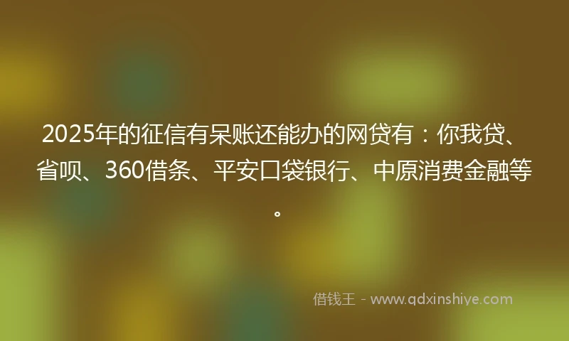 2025年的征信有呆账还能办的网贷有：你我贷、省呗、360借条、平安口袋银行、中原消费金融等。