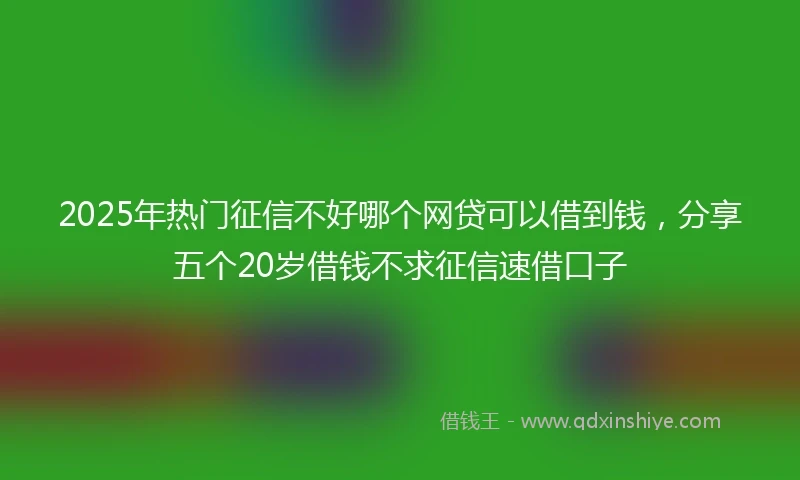 2025年热门征信不好哪个网贷可以借到钱，分享五个20岁借钱不求征信速借口子