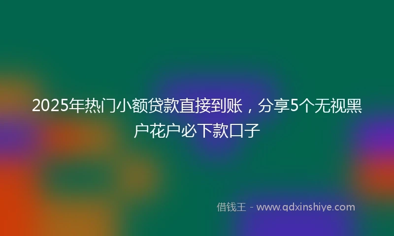 2025年热门小额贷款直接到账，分享5个无视黑户花户必下款口子