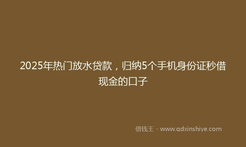 2025年热门放水贷款，归纳5个手机身份证秒借现金的口子