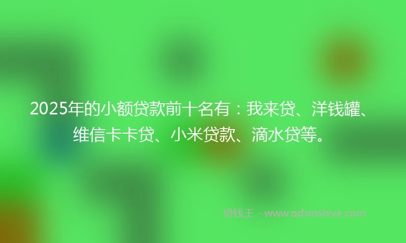 2025年的小额贷款前十名有：我来贷、洋钱罐、维信卡卡贷、小米贷款、滴水贷等。