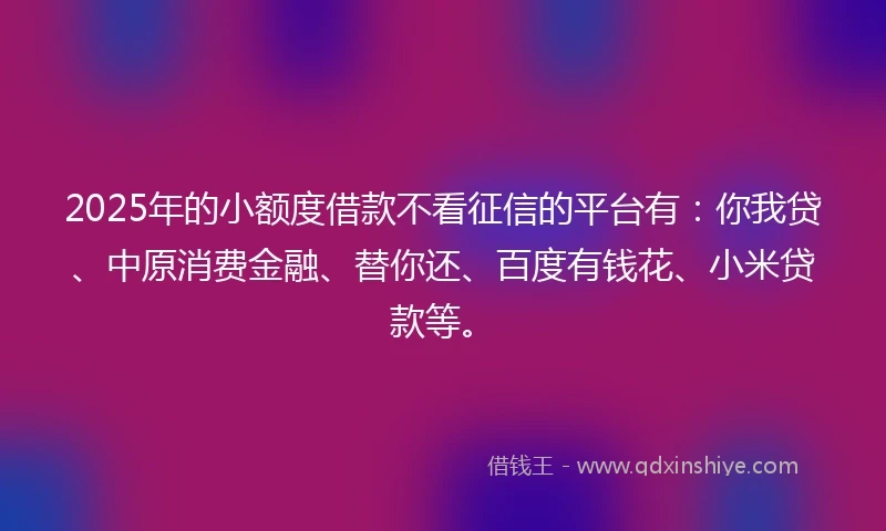 2025年的小额度借款不看征信的平台有：你我贷、中原消费金融、替你还、百度有钱花、小米贷款等。