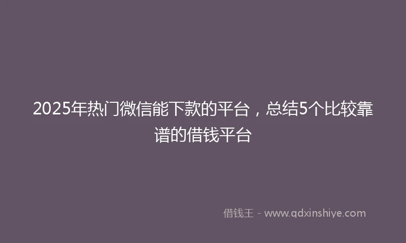 2025年热门微信能下款的平台，总结5个比较靠谱的借钱平台