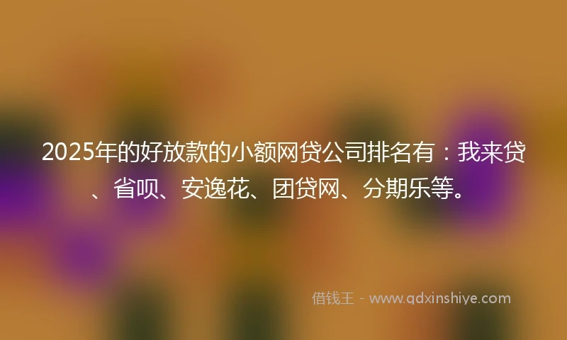 2025年的好放款的小额网贷公司排名有：我来贷、省呗、安逸花、团贷网、分期乐等。