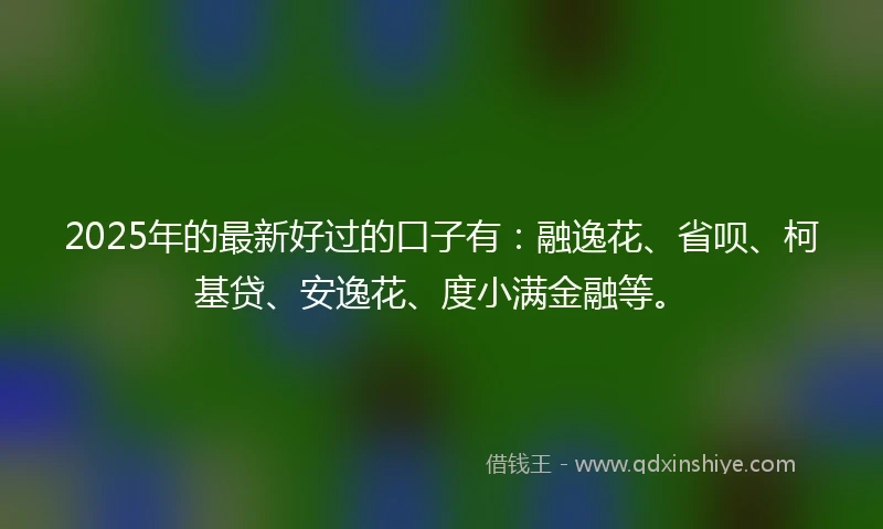 2025年的最新好过的口子有：融逸花、省呗、柯基贷、安逸花、度小满金融等。