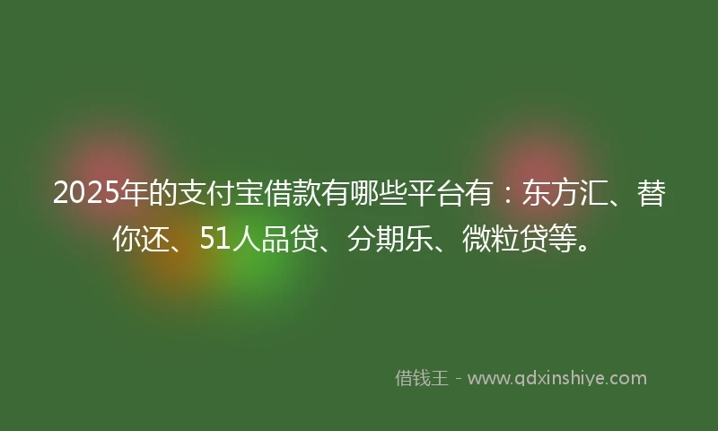 2025年的支付宝借款有哪些平台有：东方汇、替你还、51人品贷、分期乐、微粒贷等。
